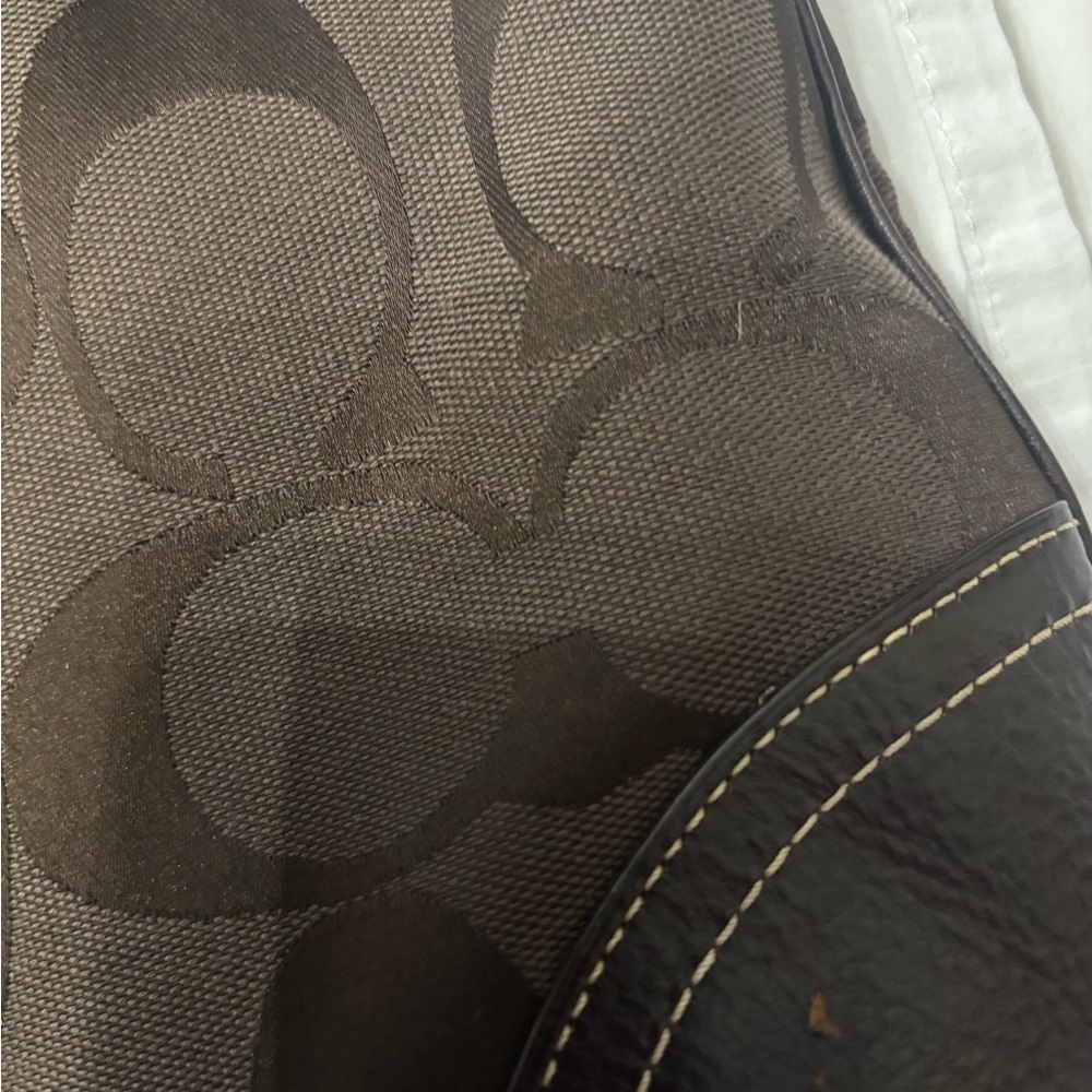 Coach 10260 Hampton Brown Python Stripe Hobo Bag. - image 7